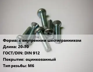 Винт с внутренним шестигранникомх20-70 DIN 912 оцинкованный М6